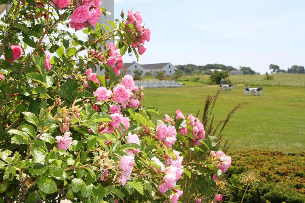 The Seaside Inn เค็นนีบังค์ ภายนอก รูปภาพ